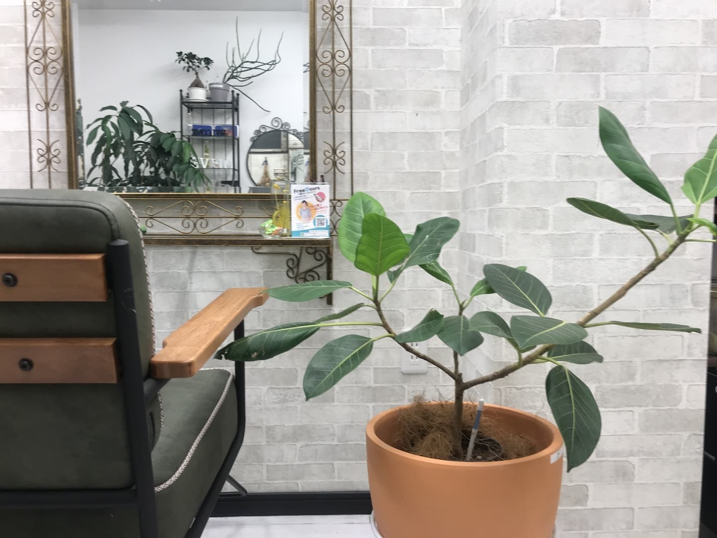 美容室オリーブの店内